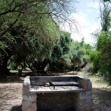 El Zorro Gris Villa Tinogasta Eksteriør billede