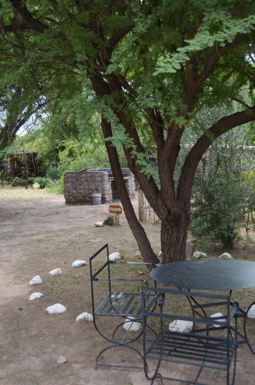 El Zorro Gris Villa Tinogasta Eksteriør billede